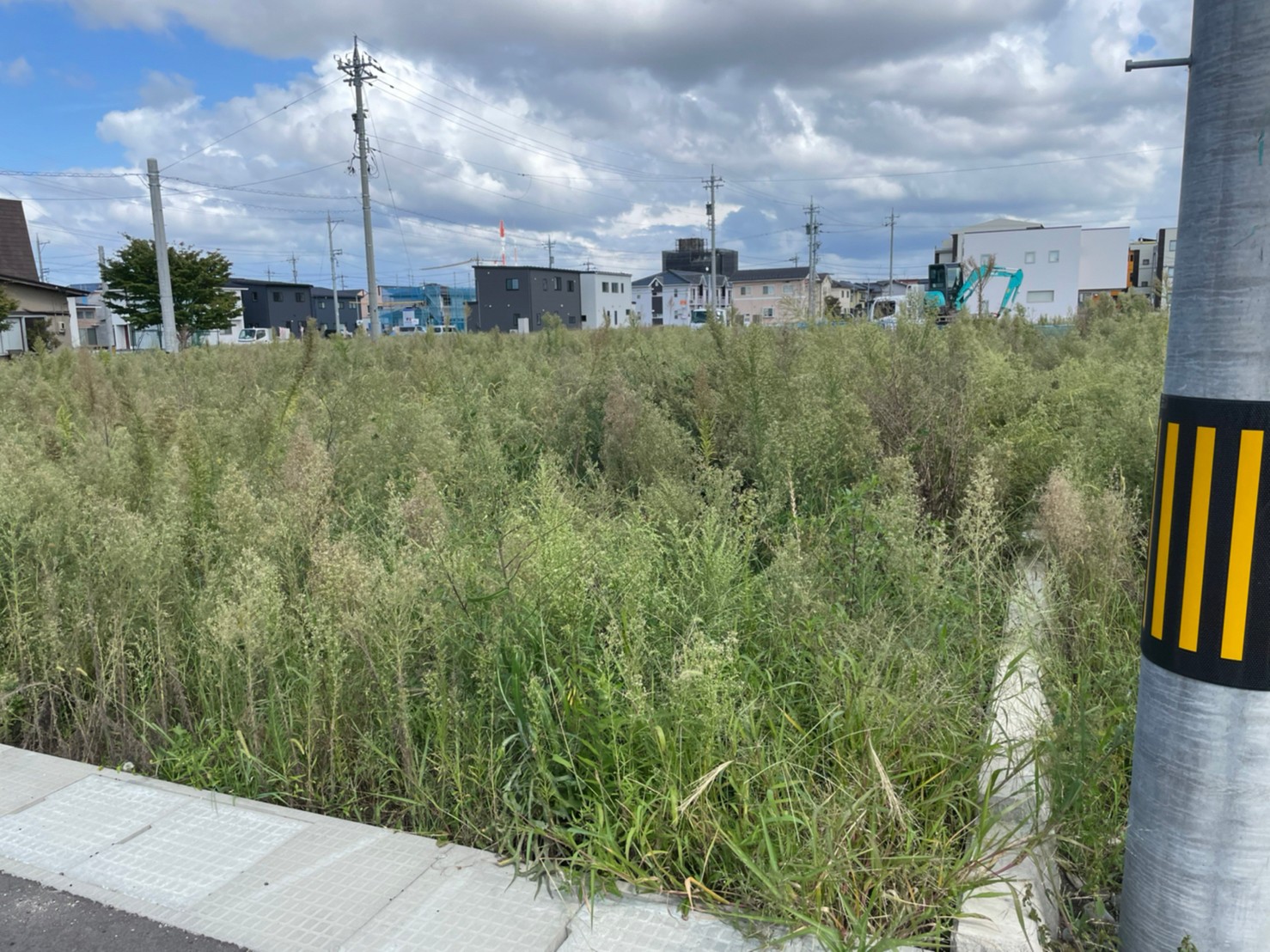 除草作業　野々市市