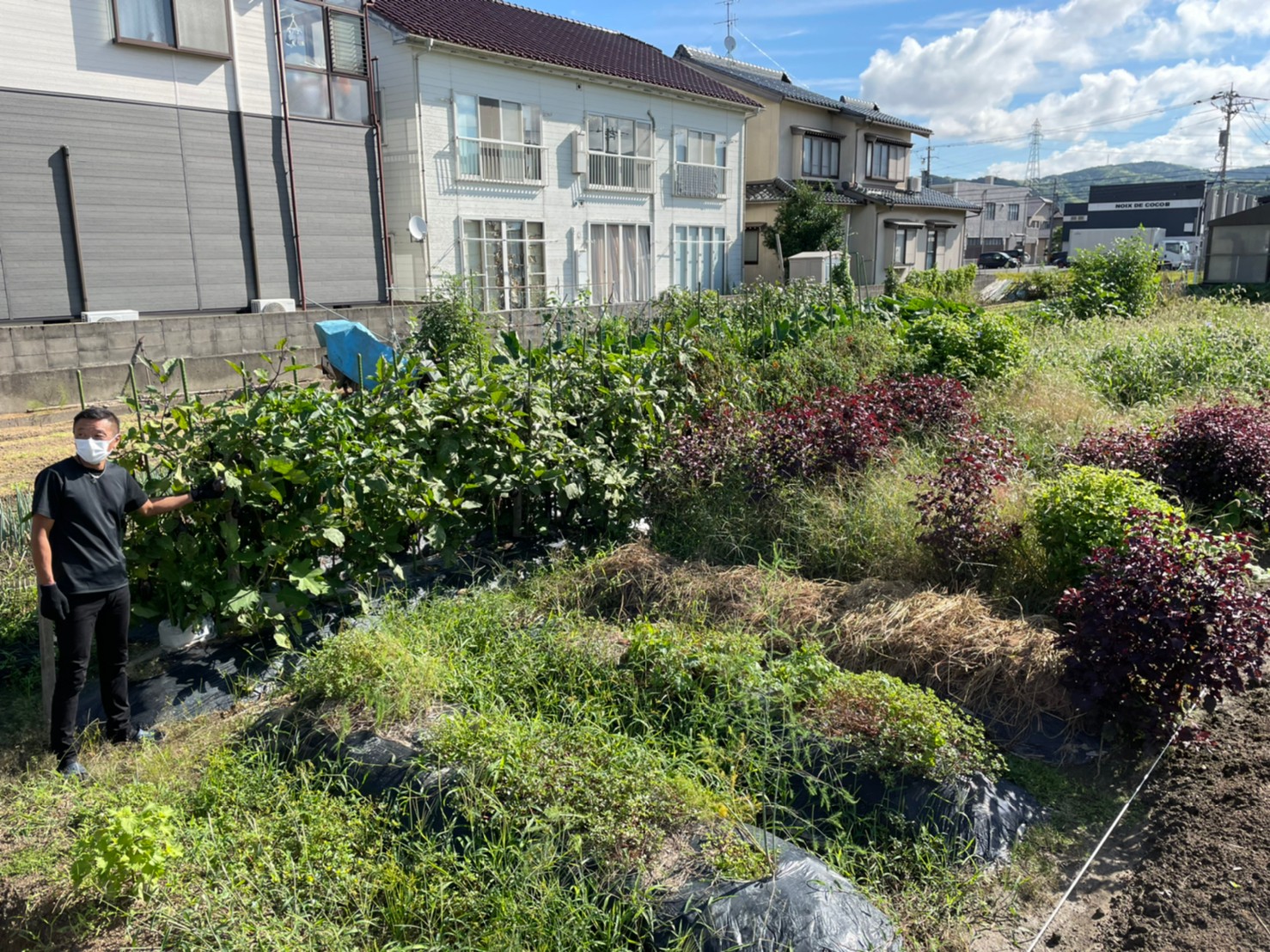 除草作業　野々市市